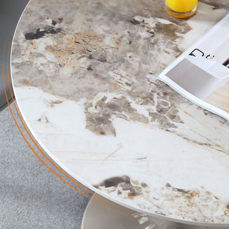 Round Contemporary Dining Table Brown Tone Fixed Table of Sintered Stone Clearhalo ' dining_table' 'Dining Tables & Seating' 'Dining Tables' 'furn' 'furn_dining_table' 'Furniture' 'furniture_dining_table' 'Kitchen & Dining Furniture' 'kitchen&dining_furn' 'kitchen' 'kitchen_dining_table' 1200x1200_68eb296e-ef48-4bb4-9176-a376a9748815