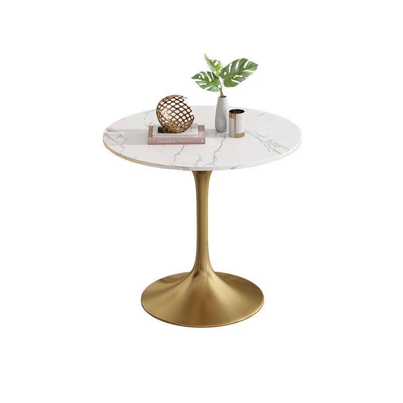 Modern Style Dining Table Sintered Stone Round Tulip Table for Dining Room Clearhalo 'Dining Tables & Seating' 'Dining Tables' 'dining_table' 'furn' 'furn_dining_table' 'Furniture' 'Kitchen & Dining Furniture' 1200x1200_690e62f6-d5f7-4d7e-8955-8a0ee722eb68