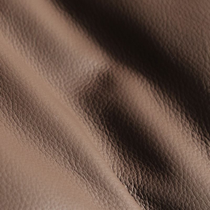 Reclining Side Chair Arms Included Lounge Chair for Living Room Clearhalo 'Accent Chairs' 'accent_chairs' 'Chairs & Seating' 'furn' 'furn_accent_chairs' 'Furniture' 'Living Room Furniture' 1200x1200_6974d2c7-a389-415f-9cfa-31402c849b0e