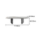 Sintered Stone Top Dining Table for restaurant Rectangle Table with Double Pedestal Clearhalo ' dining_table' 'Dining Tables & Seating' 'Dining Tables' 'furn' 'furn_dining_table' 'Furniture' 'furniture_dining_table' 'Kitchen & Dining Furniture' 'kitchen&dining_furn' 'kitchen' 'kitchen_dining_table' 1200x1200_69cf8ff5-0b07-40d6-a3a3-188e32367317
