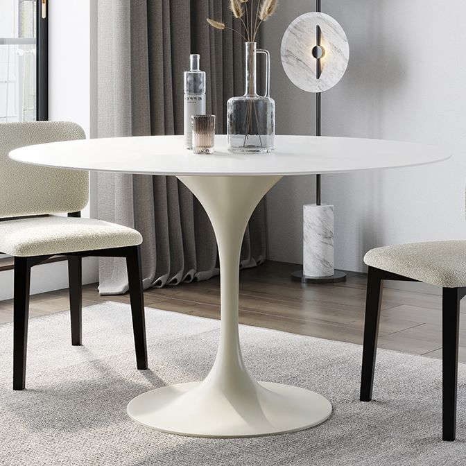 Round Tulip Modern Dining Table White Tone Fixed Table of Sintered Stone Clearhalo ' dining_table' 'Dining Tables & Seating' 'Dining Tables' 'furn' 'furn_dining_table' 'Furniture' 'furniture_dining_table' 'Kitchen & Dining Furniture' 'kitchen&dining_furn' 'kitchen' 'kitchen_dining_table' 1200x1200_69d0cfdb-1e6f-42da-aac7-7800f5fa987d