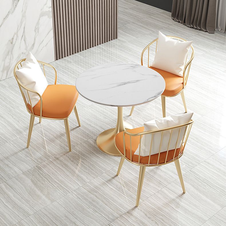 Glam Sintered Stone Dining Room Set with Gold Leg Dining Furniture for Home Use Clearhalo 'Dining Room Sets' 'Dining Tables & Seating' 'dining_room_set' 'furn' 'furn_dining_room_set' 'Furniture' 'furniture_dining_room_set' 'Kitchen & Dining Furniture' 'kitchen&dining_furn' 'kitchen' 1200x1200_6abe068a-4f7c-4090-ab5c-6b45de3b97cd