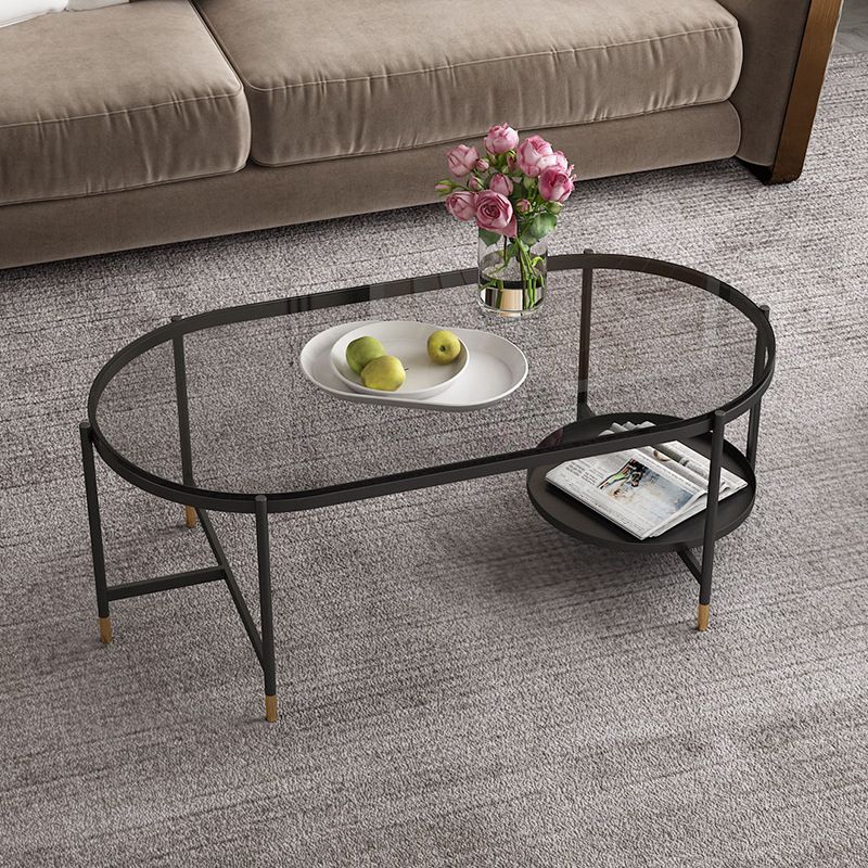 Contemporary Elliptical Glass & Slate Coffee Cocktail Table with Storage Shelf Clearhalo 'Coffee & Accent Tables' 'Coffee Tables' 'coffee_tables' 'furn' 'furn_coffee_tables' 'Furniture' 'Living Room Furniture' 1200x1200_6af60c86-933a-4aa5-8482-54286102301f