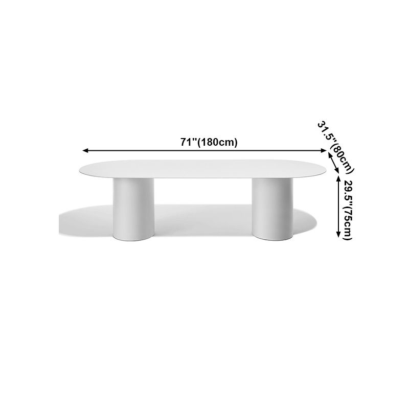 Modern Solid Wood Table for Restaurant Oval Dining Table in White with Double Pedestal Clearhalo ' dining_table' 'Dining Tables & Seating' 'Dining Tables' 'furn' 'furn_dining_table' 'Furniture' 'furniture_dining_table' 'Kitchen & Dining Furniture' 'kitchen&dining_furn' 'kitchen' 'kitchen_dining_table' 1200x1200_6b4b1927-0065-494c-a92e-59c3ceee6bbe