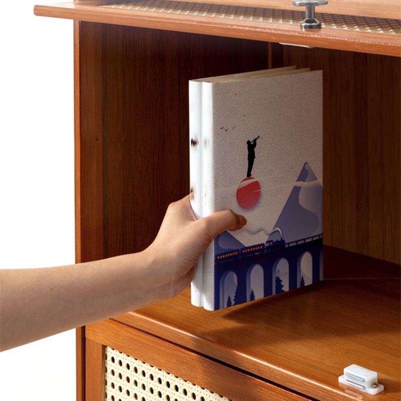 Contemporary Simple Rectangular Bamboo Cabinet with Doors in Brone Clearhalo 'Cabinets & Chests' 'cabinets_chests' 'furn' 'furn_cabinets_chests' 'Furniture' 'Living Room Furniture' 1200x1200_6b9087e7-ac60-4aa2-a610-12c92c7da1d7