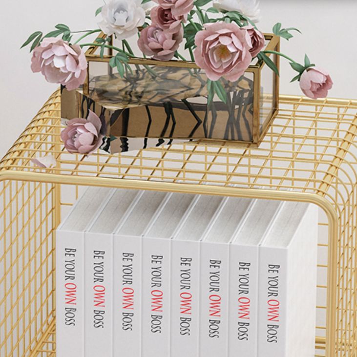 Glam Closed Back Bookcase Metal Standard Bookshelf with Shelves Clearhalo 'Bookcases' 'furn' 'furn_bookcases' 'Furniture' 'Office Furniture' 1200x1200_6ba6b7a2-f8ff-4b3f-9270-8bf328eb9dbc