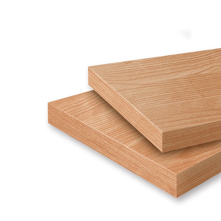 Libreria moderna di libreria in legno chiuso con porta per ufficio