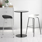 Contemporary Style Bar-stool Plastic Counter Bar Stool with Metal Legs for Kitchen Clearhalo 'Bar Furniture' 'Bar Stools' 'bar_stools' 'furn' 'furn_bar_stools' 'Furniture' 'furniture_bar_stools' 'Kitchen & Dining Furniture' 1200x1200_6d258f8e-31a1-4b4f-8c2b-a716ad60ba67