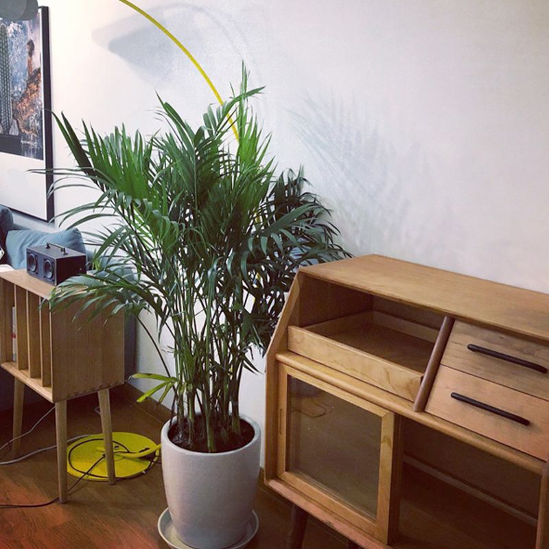 Server da pranzo per porte scorrevoli Credenza in legno massiccio di pino con porta di vetro