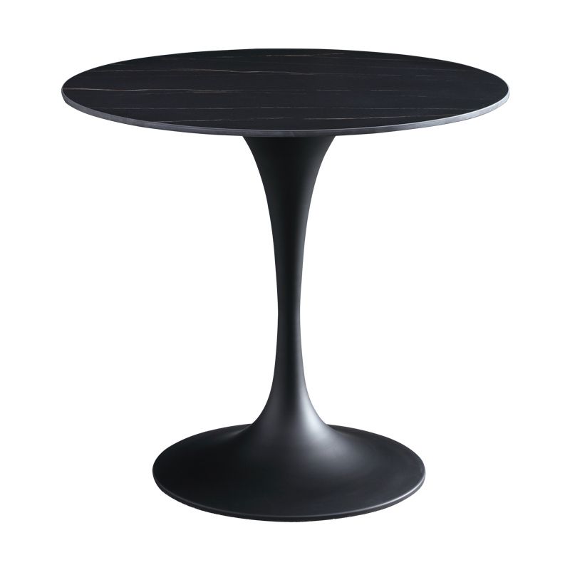 Contemporary Style Sintered Stone Dining Table Metallic Tulip Base Round Table for Home Clearhalo ' dining_table' 'Dining Tables & Seating' 'Dining Tables' 'furn' 'furn_dining_table' 'Furniture' 'furniture_dining_table' 'Kitchen & Dining Furniture' 'kitchen&dining_furn' 'kitchen' 'kitchen_dining_table' 1200x1200_6d722d45-6b12-47b1-945c-02abd08fcf2f