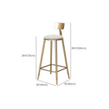 Glam Armless Backrest Counter Stool Iron Bar Stool with Cushion and Pedal for Balcony