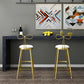 Upholstered Counter Stool Glam Style Round Low Back Bar Stool with Gold Frame Clearhalo 'Bar Furniture' 'Bar Stools' 'bar_stools' 'furn' 'furn_bar_stools' 'Furniture' 'Kitchen & Dining Furniture' 1200x1200_6d7e9a75-2977-41da-b7fa-99bf7e84eca3