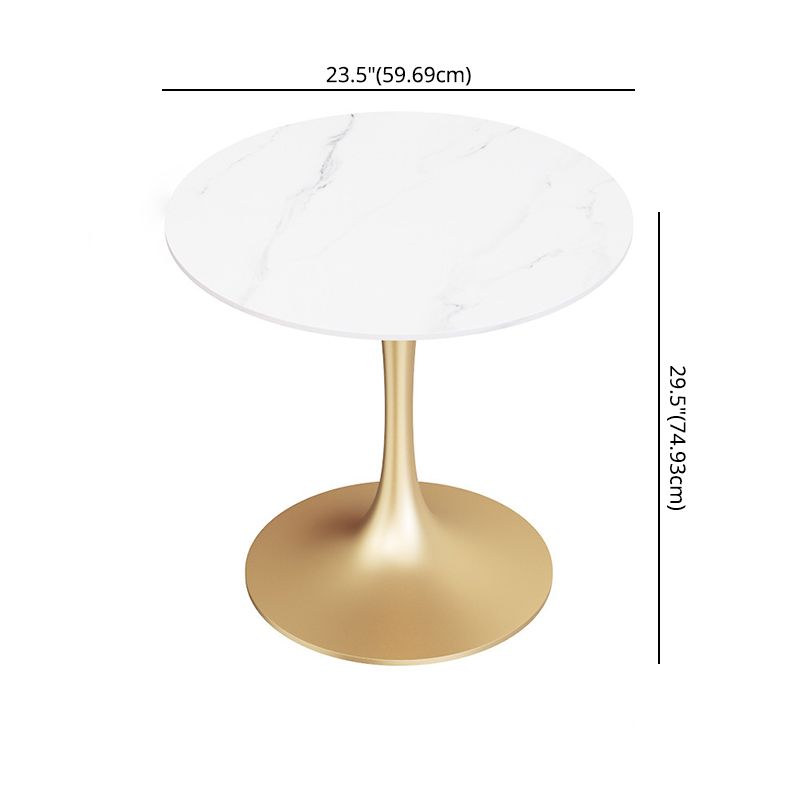 Glam Style Sintered Stone Dining Room Set Standard Height with Gold Base Dining Set Clearhalo 'Dining Room Sets' 'Dining Tables & Seating' 'dining_room_set' 'furn' 'furn_dining_room_set' 'Furniture' 'furniture_dining_room_set' 'Kitchen & Dining Furniture' 'kitchen&dining_furn' 'kitchen' 1200x1200_6d953560-2431-429d-8a30-aabe3ceee446