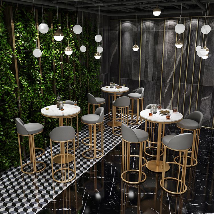 Glam Armless Backrest Counter Stool Iron Restaurant Bar Stool with Cushion and Pedal Clearhalo 'Bar Furniture' 'Bar Stools' 'bar_stools' 'furn' 'furn_bar_stools' 'Furniture' 'Kitchen & Dining Furniture' 1200x1200_6dfa788d-ffe0-4f17-89f2-7877c02c078a