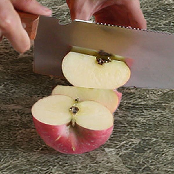 Designer Style 1/4/5/7 Pieces Dining Set Sintered Stone Top Dining Table with Chairs Clearhalo 'Dining Room Sets' 'Dining Tables & Seating' 'dining_room_set' 'furn' 'furn_dining_room_set' 'Furniture' 'furniture_dining_room_set' 'Kitchen & Dining Furniture' 1200x1200_6e077b3c-e54f-47ba-9077-e4c9318b84e9