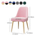 Glam Style Dining Room Chair Upholstered Dining Side Chair for Indoor Clearhalo 'Dining Chairs' 'Dining Tables & Seating' 'dining_chair' 'furn' 'furn_dining_chair' 'Furniture' 'furniture_dining_chair' 'Kitchen & Dining Furniture' 1200x1200_6e0cb576-2ae3-456a-a21f-4fd6779637fa