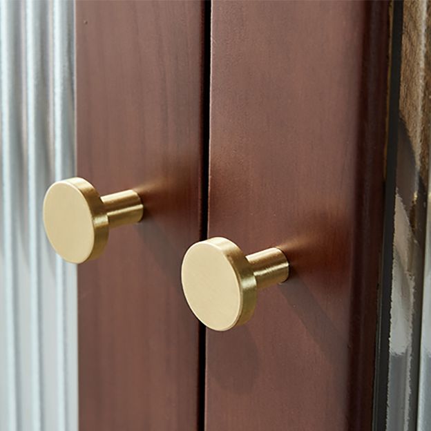 Armadio per accento in vetro in vetro MODERNO MODERNO MODERSO MOTORE CON I DRUCI