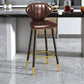 Nordic Glam Style Bar-stool PU Leather Counter Bar Stool with Metal Legs Clearhalo 'Bar Furniture' 'Bar Stools' 'bar_stools' 'furn' 'furn_bar_stools' 'Furniture' 'furniture_bar_stools' 'Kitchen & Dining Furniture' 1200x1200_6e493241-0d20-47f8-a6c5-4f164313c53d