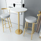 Glam Armless Backrest Counter Stool Iron Bar Stool with Cushion and Pedal for Kitchen Use Clearhalo 'Bar Furniture' 'Bar Stools' 'bar_stools' 'furn' 'furn_bar_stools' 'Furniture' 'Kitchen & Dining Furniture' 1200x1200_6ef9d38f-614f-4175-920c-264cb854d0e0