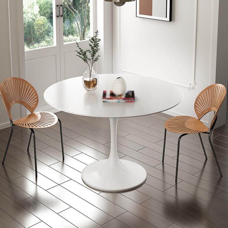 White Modern Round Dining Table Sintered Stone Top Tulip Base Table Clearhalo 'Dining Tables & Seating' 'Dining Tables' 'dining_table' 'furn' 'furn_dining_table' 'Furniture' 'Kitchen & Dining Furniture' 1200x1200_6f427795-137c-402a-a3ef-cc13b48e0dd2