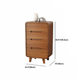 Contemporary Wooden Storage Chest Home Chest in Brown with Drawers