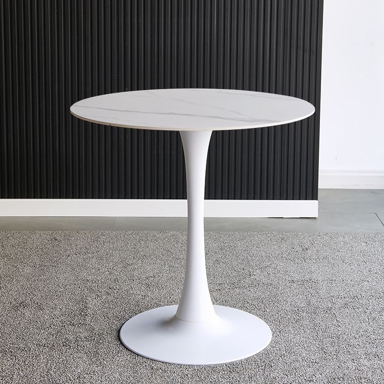 Round Dining Table Contemporary Style Stone Dining Site Table with Tulip Base Clearhalo 'Dining Tables & Seating' 'Dining Tables' 'dining_table' 'furn' 'furn_dining_table' 'Furniture' 'Kitchen & Dining Furniture' 1200x1200_6f8d56bc-5903-420c-bf2f-50d0b658afde