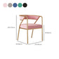 Dining Room Glam Chair Gold Legs Velvet Arm Chair with Upholstered