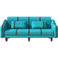 Contemporary Sleeper with 2 Pillows and Six Black Legs for Apartment Clearhalo 'furn' 'furn_sofas' 'Furniture' 'Living Room Furniture' 'Sofa' 'sofas' 1200x1200_6f9e97f4-c38f-420a-b37e-6fc3a02bb205