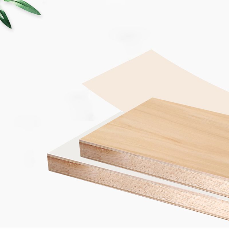 Closed Back Bookshelf Scandinavian Style Bookcase for Home Office and Study Room Clearhalo 'Bookcases' 'furn' 'furn_bookcases' 'Furniture' 'furniture_bookcases' 'kitchen' 'kitchen_bookcases' 'Living Room Furniture' 'Office Furniture' 1200x1200_6fbfa24e-0a84-4364-8b3e-1e7a45c7fe7f