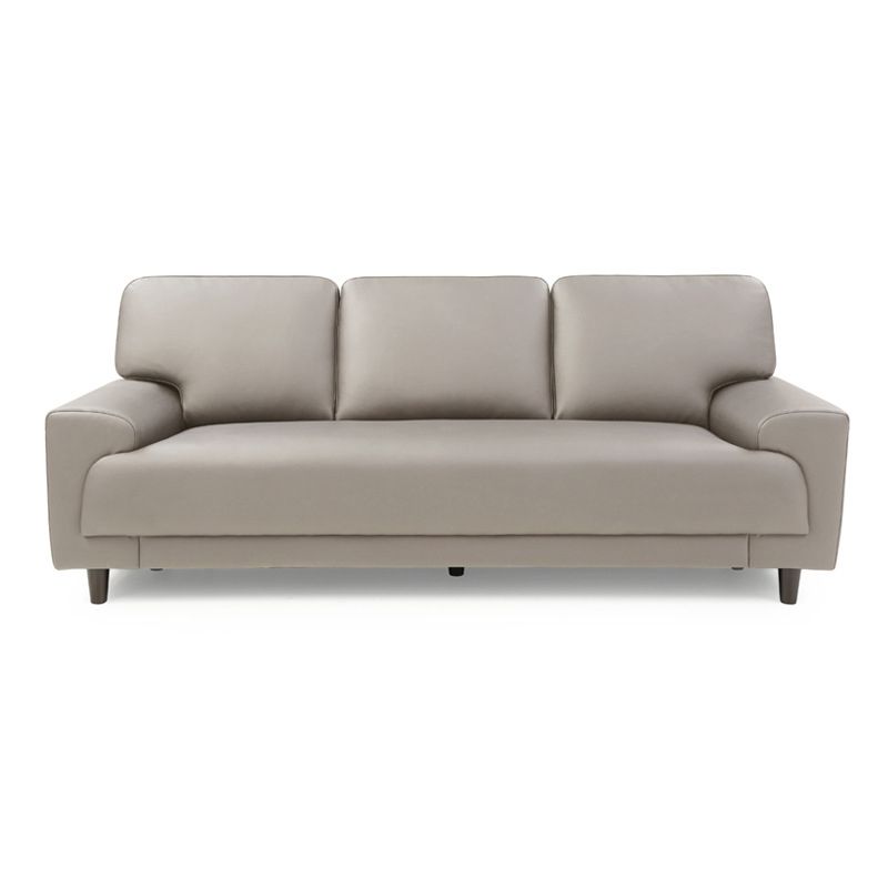Contemporary Pillow Back Couch Leather Sofa with Solid Wood Legs Clearhalo 'Furniture' 'furniture_sofas' 'Living Room Furniture' 'Sofa' 'sofas' 1200x1200_6fe97964-60ce-48c5-960f-2064a009f4b0