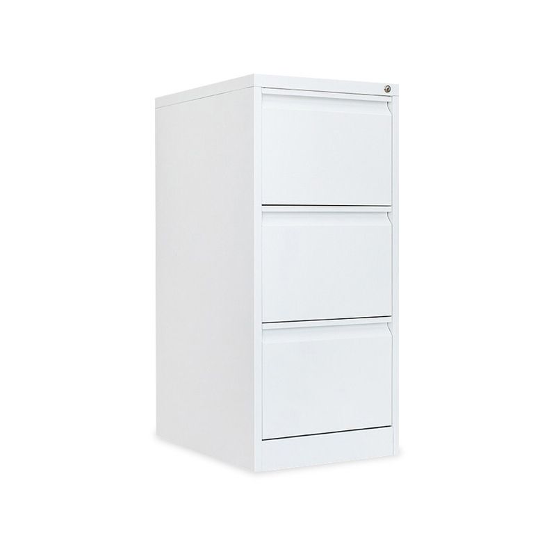 Modern Vertical Filing Cabinet Metal Filing Cabinet with Lock and Storage Clearhalo 'Filing Cabinets' 'filling_cabinets' 'furn' 'furn_filling_cabinets' 'Furniture' 'Office Furniture' 1200x1200_70066b63-c4b9-45d1-a664-49afa6ea2124