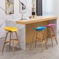 Modern Plastic Low Back Counter & Bar Stool with Solid Wood Base