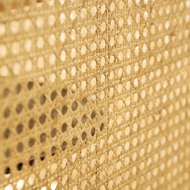 Contemporary Wooden Bookcase Closed Back Standard Bookshelf with Shelves Clearhalo 'Bookcases' 'furn' 'furn_bookcases' 'Furniture' 'Office Furniture' 1200x1200_70ae1659-085f-42cc-8aa5-481f9a974bd2