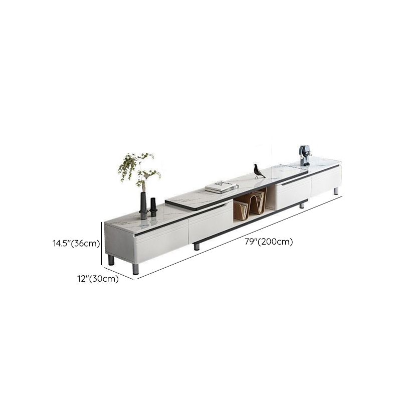 Modern Enclosed Storage TV Stand Engineered Wood TV Console with Sliding Storage Clearhalo 'furn' 'furn_tv_stands_entertainment_centers' 'Furniture' 'Living Room Furniture' 'TV Stands & Entertainment Centers' 'TV Stands & Media Storage Furniture' 'tv_stands_entertainment_centers' 1200x1200_70c63164-fb3a-4077-8b15-2877011e16cd