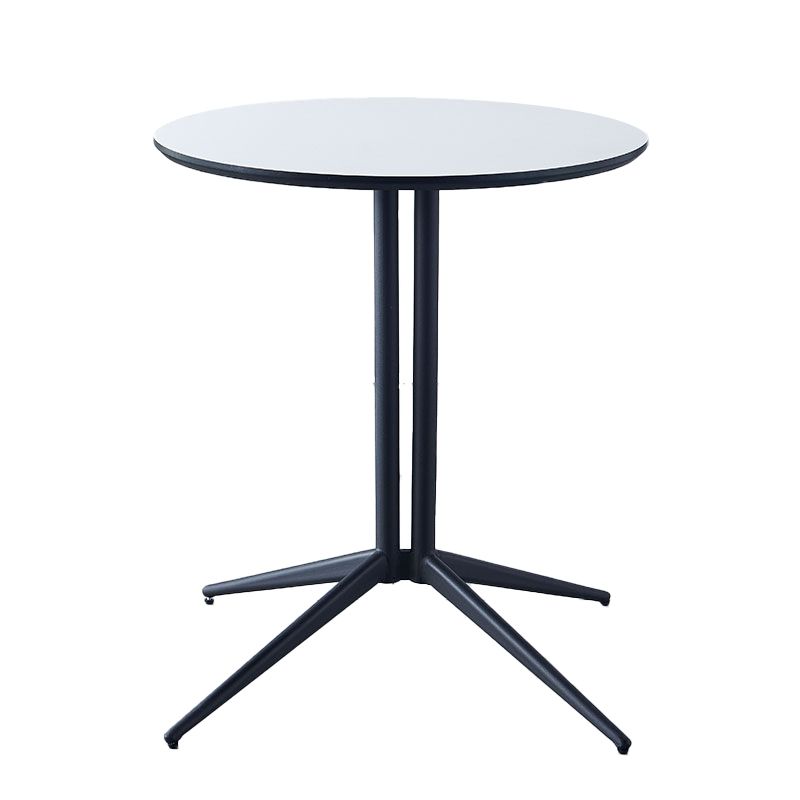 Metal Contemporary Round Dining Table Wood Top Indoor Table with Pedestal Base Clearhalo ' dining_table' 'Dining Tables & Seating' 'Dining Tables' 'furn' 'furn_dining_table' 'Furniture' 'furniture_dining_table' 'Kitchen & Dining Furniture' 'kitchen&dining_furn' 'kitchen' 'kitchen_dining_table' 1200x1200_712a87ca-6613-4b69-9fe7-d65ae0e60200