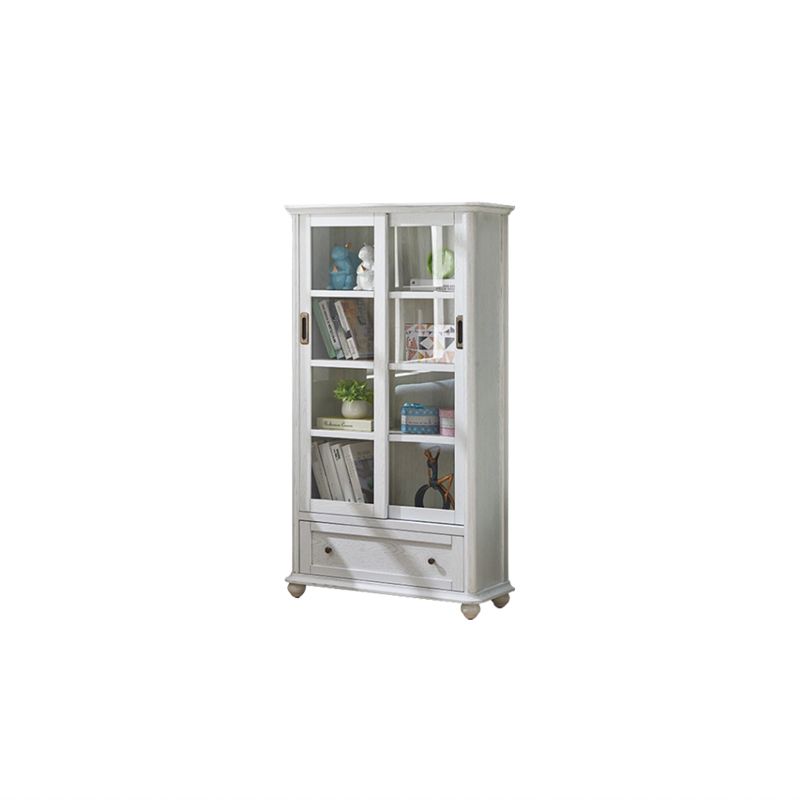 Wooden Standard Bookcase Contemporary Closed Back Bookshelf with Doors