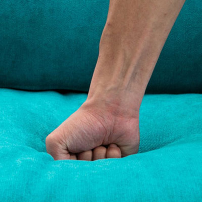 Modern Sofa with 2 Pillows Living Room Charles Of London Seating Clearhalo 'furn' 'furn_sofas' 'Furniture' 'Living Room Furniture' 'Sofa' 'sofas' 1200x1200_71bfde57-9026-4ff0-a9ef-a49401be6f83