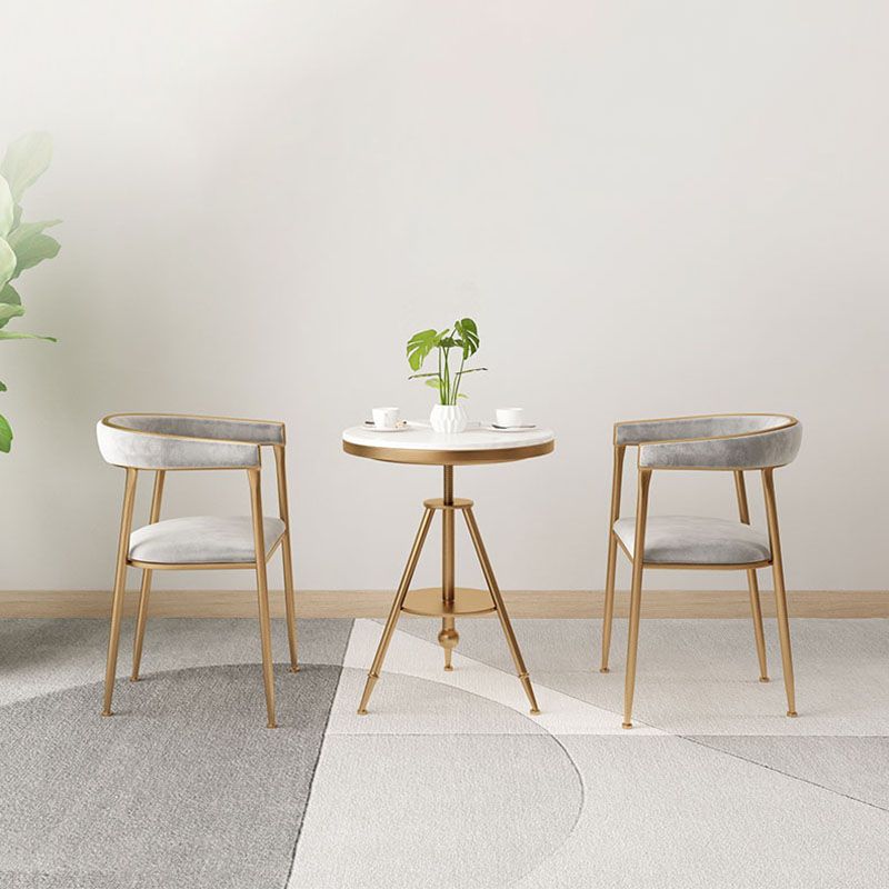 Glam Velvet Dining Room Chairs Metal Dining Side Arm Chairs for Restaurant Use Clearhalo ' kitchen&dining_furn' 'Dining Chairs' 'Dining Tables & Seating' 'dining_chair' 'furn' 'furn_dining_chair' 'Furniture' 'furniture_dining_chair' 'Kitchen & Dining Furniture' 'kitchen' 1200x1200_71dde055-aff0-4260-b1c7-2a9d56b8ff9f