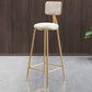 Glam Armless Backrest Counter Stool Steel Cashier Bar Stool with Flannel Cushion and Pedal Clearhalo 'Bar Furniture' 'Bar Stools' 'bar_stools' 'furn' 'furn_bar_stools' 'Furniture' 'furniture_bar_stools' 'Kitchen & Dining Furniture' 1200x1200_721da50f-1296-42d4-b939-d7c4a4880b2c