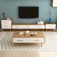 Contemporary Wood TV Stand Console Enclosed Storage TV Media Stand for Living Room Clearhalo 'furn' 'furn_tv_stands_entertainment_centers' 'Furniture' 'Living Room Furniture' 'TV Stands & Entertainment Centers' 'TV Stands & Media Storage Furniture' 'tv_stands_entertainment_centers' 1200x1200_726fb2fc-ec90-427f-b321-86086b3cd338