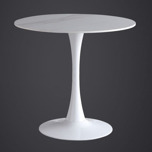 Modern Style Round Dining Table Sintered Stone Dinner Table with Tulip Base Clearhalo ' dining_table' 'Dining Tables & Seating' 'Dining Tables' 'furn' 'furn_dining_table' 'Furniture' 'furniture_dining_table' 'Kitchen & Dining Furniture' 'kitchen&dining_furn' 'kitchen' 'kitchen_dining_table' 1200x1200_73051f22-e013-460f-86da-8610ee969da9