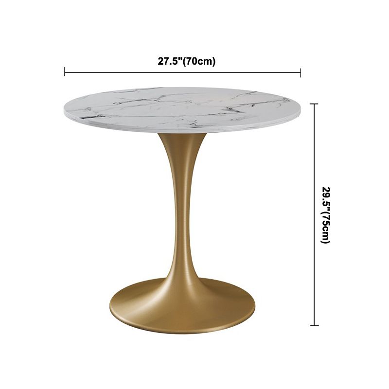 Round Sintered Stone White Dining Table Luxury Tulip Base Table for Dining Room Clearhalo ' dining_table' 'Dining Tables & Seating' 'Dining Tables' 'furn' 'furn_dining_table' 'Furniture' 'furniture_dining_table' 'Kitchen & Dining Furniture' 'kitchen&dining_furn' 'kitchen' 'kitchen_dining_table' 1200x1200_738f8b55-d3e4-4902-a2b0-841496141ad1