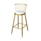 Glam Metal Barstool Plastic Counter Stool in Matte Finish for Indoor