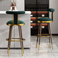 Glam Upholstered Bar Stool Glam Backrest Counter Stool for Bristol Clearhalo 'Bar Furniture' 'Bar Stools' 'bar_stools' 'furn' 'furn_bar_stools' 'Furniture' 'Kitchen & Dining Furniture' 1200x1200_740d3d10-c07e-48dd-8a5a-a0e1add4b1be