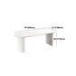 Stone Double Pedestal Dining Table Simplicity Style Dining Room Table for Home Clearhalo ' dining_table' 'Dining Tables & Seating' 'Dining Tables' 'furn' 'furn_dining_table' 'Furniture' 'furniture_dining_table' 'Kitchen & Dining Furniture' 'kitchen&dining_furn' 'kitchen' 'kitchen_dining_table' 1200x1200_7472c744-6135-4789-b910-b4f7e4752247