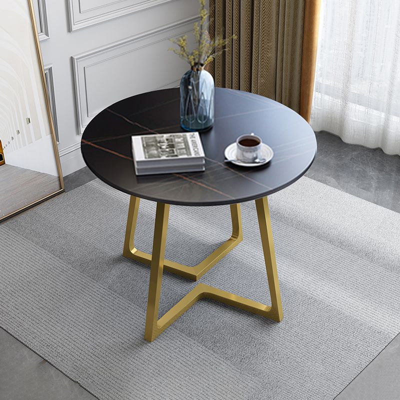 Contemporary Round Dining Table Sintered Stone Dining Table for Dining Room Clearhalo ' dining_table' 'Dining Tables & Seating' 'Dining Tables' 'furn' 'furn_dining_table' 'Furniture' 'furniture_dining_table' 'Kitchen & Dining Furniture' 'kitchen&dining_furn' 'kitchen' 'kitchen_dining_table' 1200x1200_747c9aad-fb67-481c-a431-0e67c155f8b9