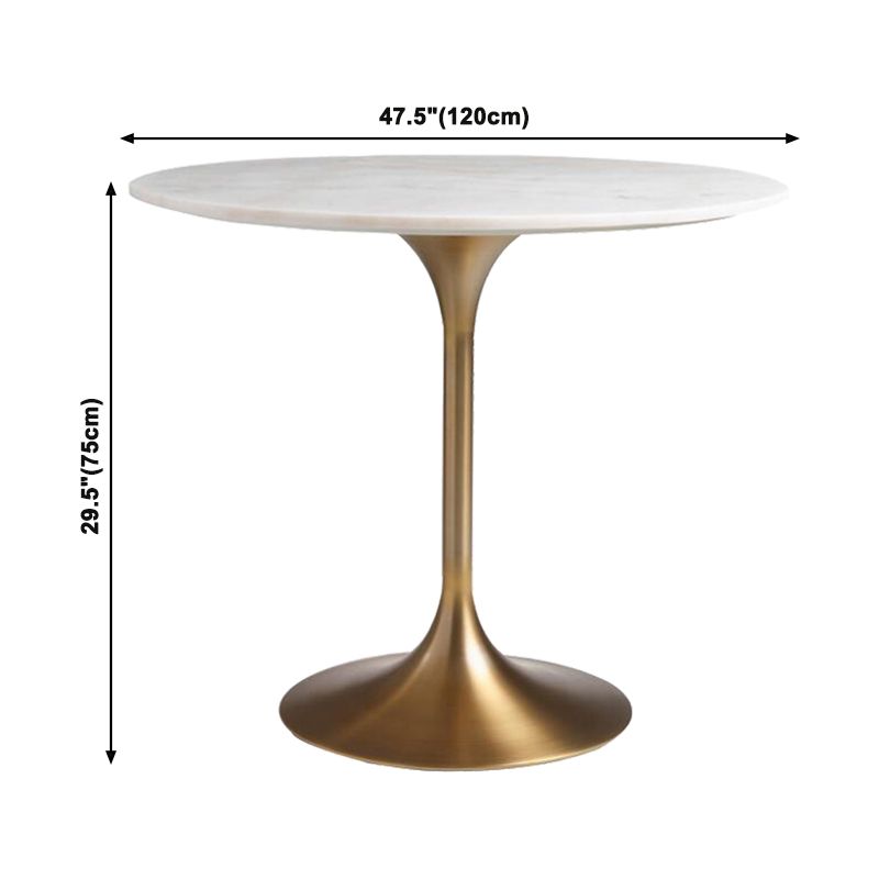 Round Tulip Base Glam Dining Table White Fixed Table with Sintered Stone Clearhalo ' dining_table' 'Dining Tables & Seating' 'Dining Tables' 'furn' 'furn_dining_table' 'Furniture' 'furniture_dining_table' 'Kitchen & Dining Furniture' 'kitchen&dining_furn' 'kitchen' 'kitchen_dining_table' 1200x1200_749a405d-fc08-4cc9-83a3-bd9a48902c32
