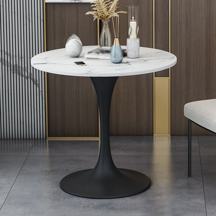 Modern 1/2/5 Pieces Sintered Stone Dining Set Dining Furniture Set /Separate Items Clearhalo 'Dining Room Sets' 'Dining Tables & Seating' 'dining_room_set' 'furn' 'furn_dining_room_set' 'Furniture' 'furniture_dining_room_set' 'Kitchen & Dining Furniture' 'kitchen&dining_furn' 'kitchen' 1200x1200_74bce46b-934c-45a6-88ec-b8eb247d7b1c