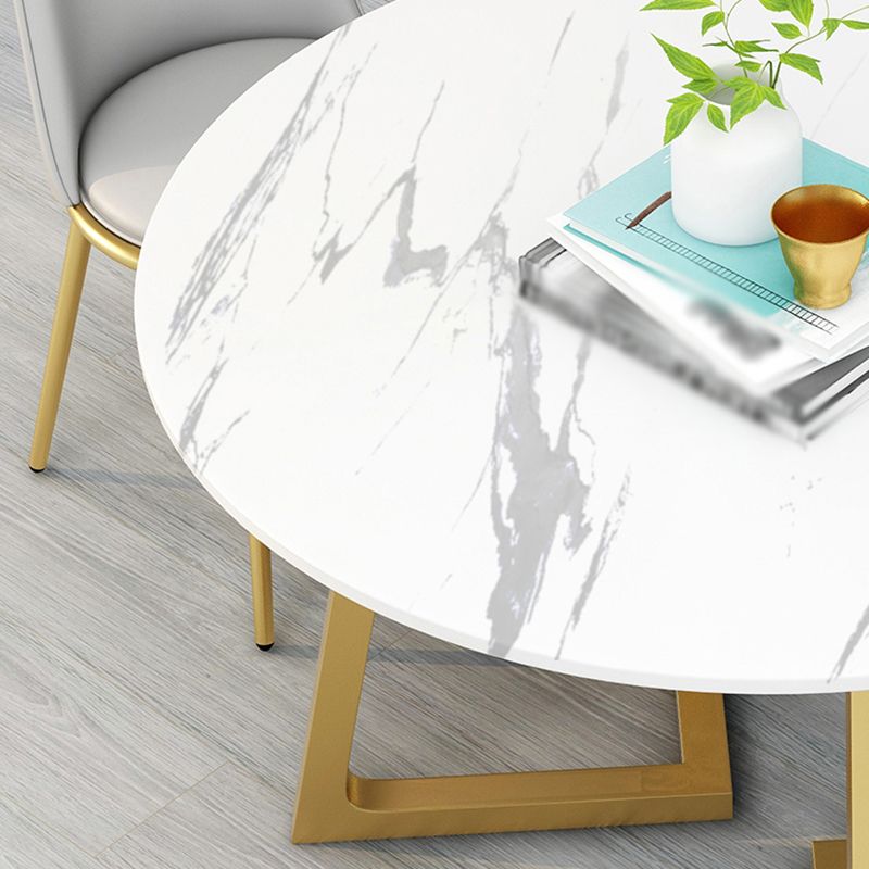 Stone Top Dining Table Contemporary Table with Sled Base in Gold Clearhalo 'Dining Tables & Seating' 'Dining Tables' 'dining_table' 'furn' 'furn_dining_table' 'Furniture' 'furniture_dining_table' 'Kitchen & Dining Furniture' 'kitchen' 'kitchen_dining_table' 1200x1200_755d20dc-9a4f-4eb1-a509-bd14d4e69c8b