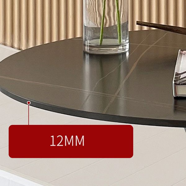 Contemporary Round Shape Sintered Stone Dining Table Kitchen Dining Table with Tulip Base Clearhalo ' dining_table' 'Dining Tables & Seating' 'Dining Tables' 'furn' 'furn_dining_table' 'Furniture' 'furniture_dining_table' 'Kitchen & Dining Furniture' 'kitchen&dining_furn' 'kitchen' 'kitchen_dining_table' 1200x1200_75e7c66b-90cd-4634-9483-93602b4143ad